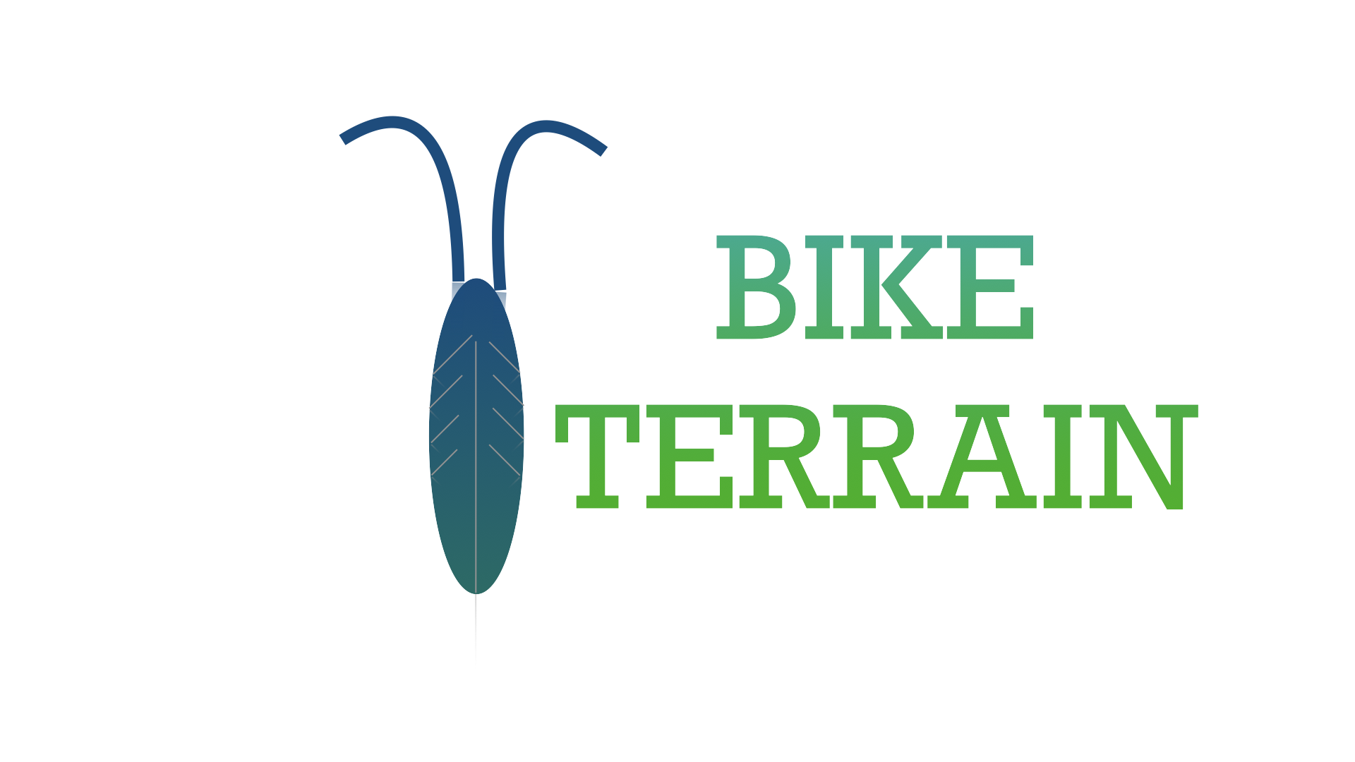 Bike terrain